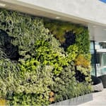 View Living Walls