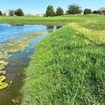 View Hybrid Turf 