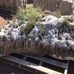 View Boulders: Holey