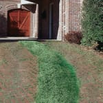View Pavers: Grasstone™