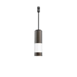 View EVO FLEX Hanging Light, Frosted