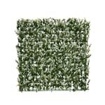 View White Buxus
