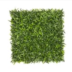 View Sungrass