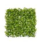 View Caligreen