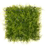 View Fern