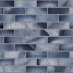 View Face Brick Color: Ravenswood Ironspot