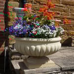 View Marlborough Bowl (A495)