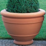 View Compton Bowl (A225)
