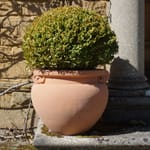 View Scrolled Jardiniere (A580)