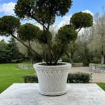 View Large Italian Jardiniere (HA435)
