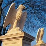 View Bald Eagle - Right Hand (HE355)