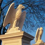 View Bald Eagle - Left Hand (HE350)