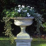 View Eastwell Urn (A260)