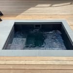 View Wellness Therapy Plunge Pool: Cold Plunge