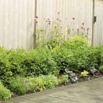 View Landscaping Spikes