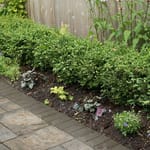 View Aluminum Brick Edging