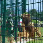 View Dulok Security Fence