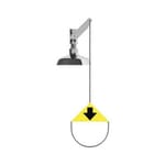 View Vertical Showers 30 gpm Stainless Steel Shower Head [01052502SS]