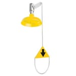 View Vertical Showers 30 gpm ABS Hi-Viz Shower Head [01052502]