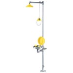 View Galvanized Pipe 30 gpm Shower, 8.0 gpm Eye/Facewash, Bowl Cover [01050234PBC]