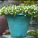 View Chesapeake Planter