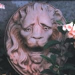 View Grand Lion Wall Mask