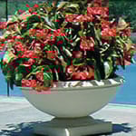 View Highwood Planter