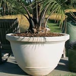 View International Planter
