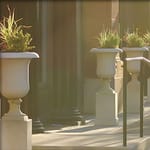 View Marlia Planter
