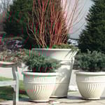 View McDermot Planter
