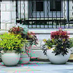 View Munstead Planter