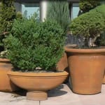 View Oval Glencoe Planter