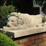 View Recumbent Lion & Lioness