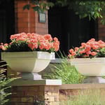 View Sandburg Planter