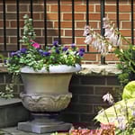 View Springfield Planter