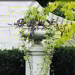 View Washington Planter