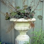 View Ancient Urn & Lake Forest