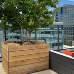 View Boulevard Wood Planters