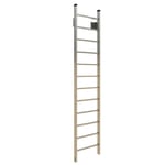 View 501 Access Ladder