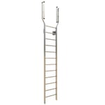View 504 Access Ladder