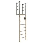View 503A Access Ladder
