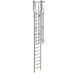 View 534 Cage Ladder