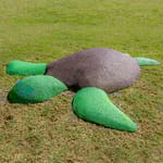 View PIP Turtle