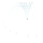 View Crown Jet