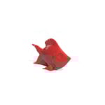 View SplashPack Fish