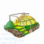 View 3D Turtle Slide