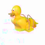 View 3D Duck Slide