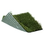 View SoftLawn® Annual Rye