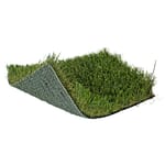 View SoftLawn® Paspalum Pro
