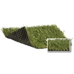 View SoftLawn® Garden Rye